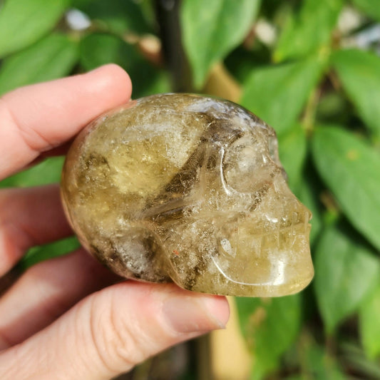 Smoky Citrine Skull