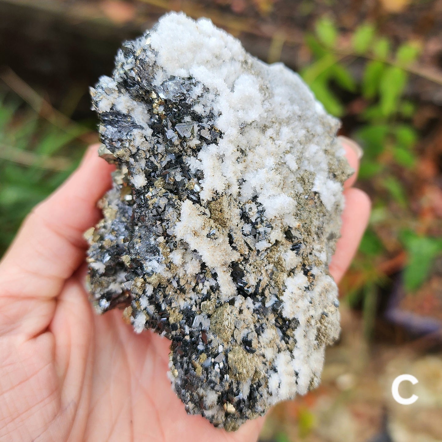 Pyrite w/ Black Magnetite and Calcite Larger Specimens