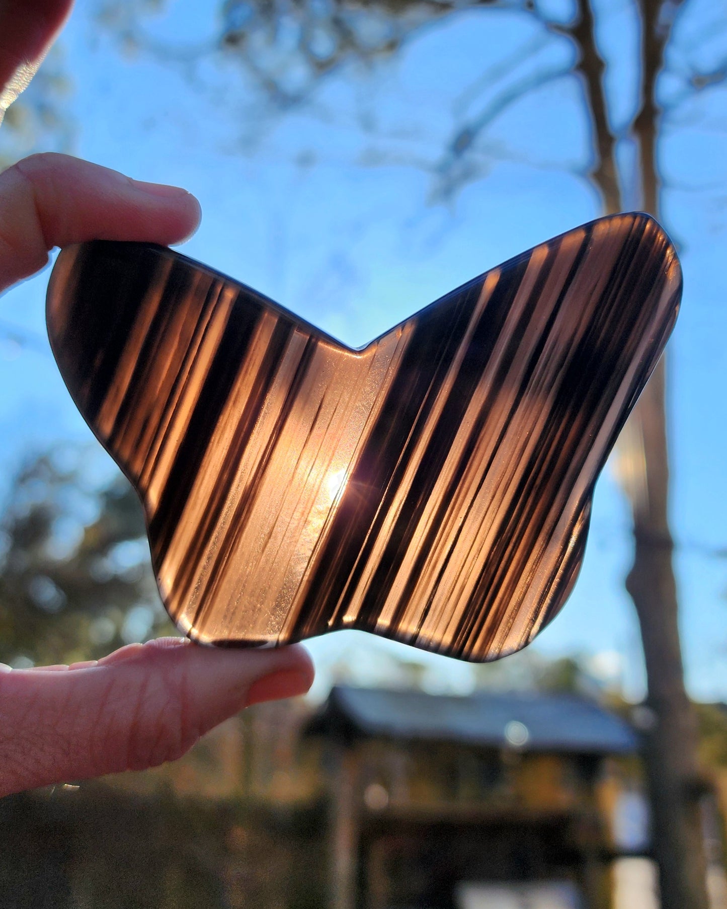 Midnight Lace Obsidian Butterfly on Stand