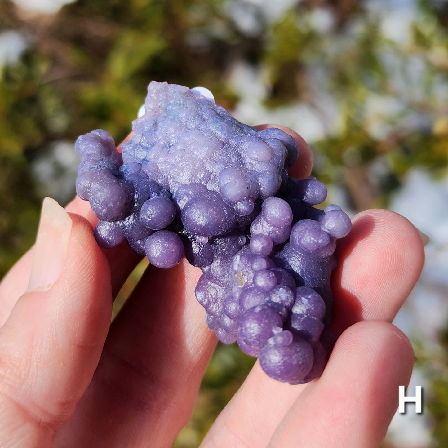 Grape Agate Specimens