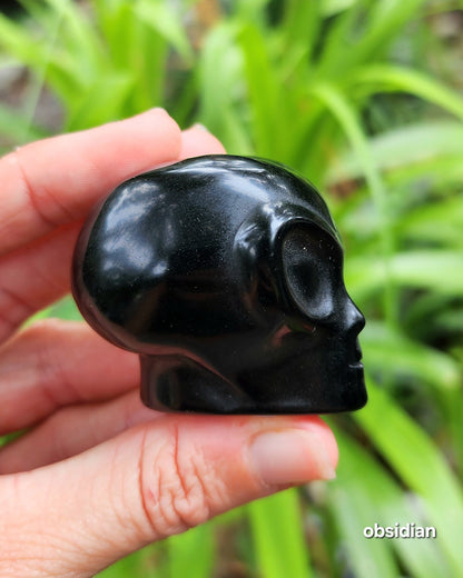 Alien Skull Carvings