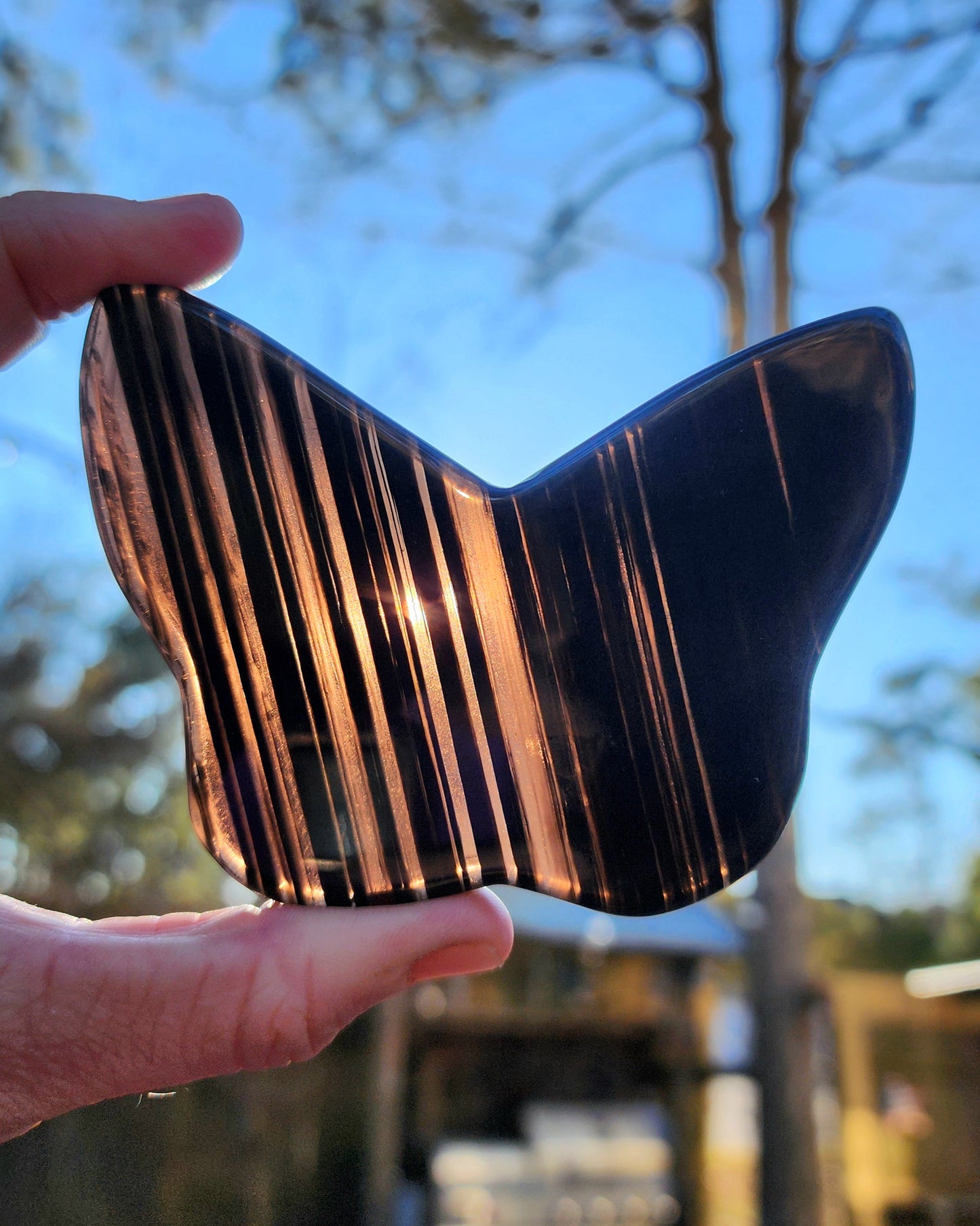 Midnight Lace Obsidian Butterfly on Stand