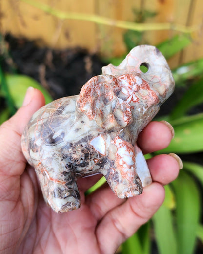 Money Agate Elephant