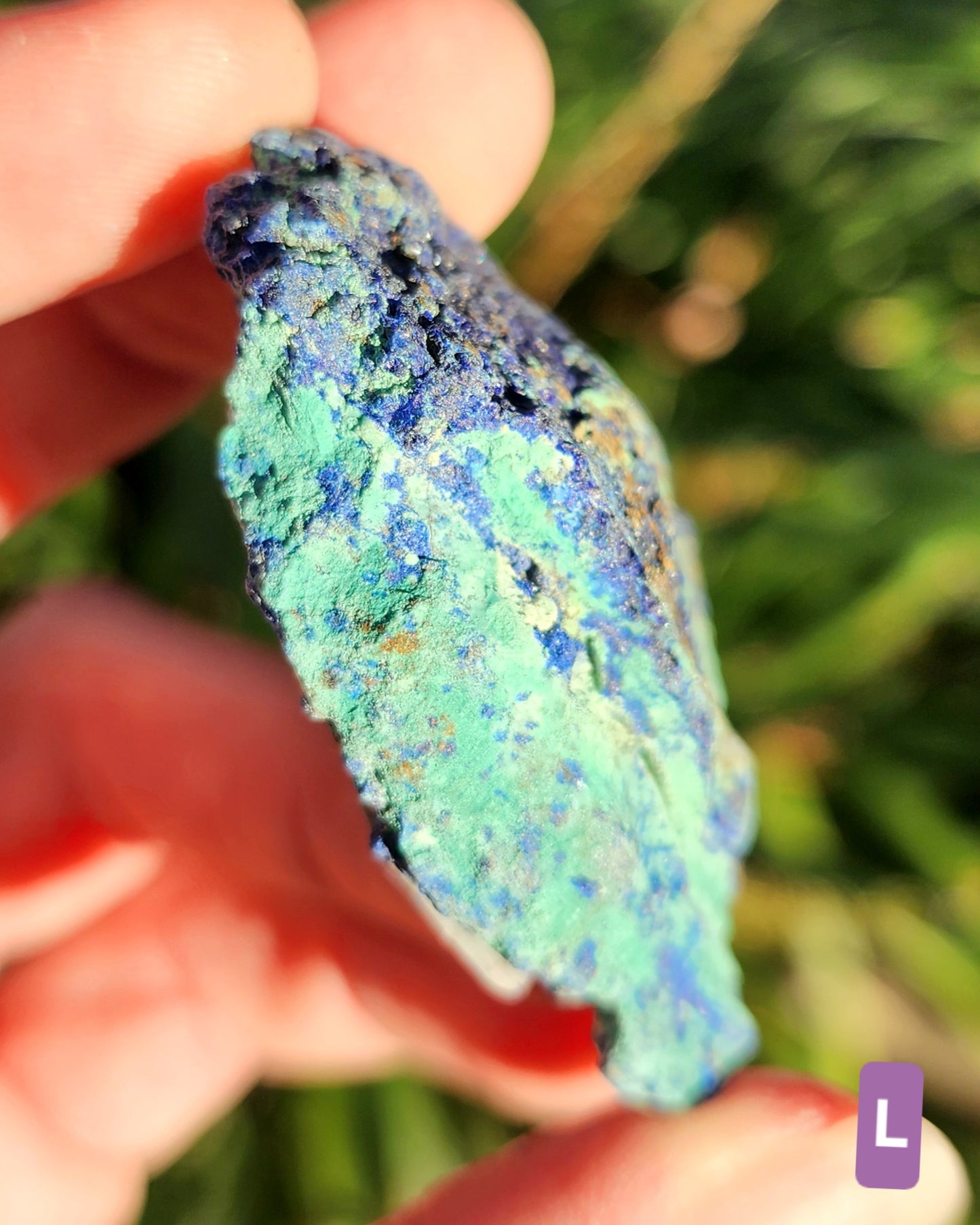Azurite in Chrysocolla Specimens
