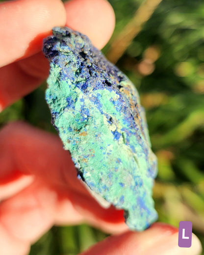 Azurite in Chrysocolla Specimens