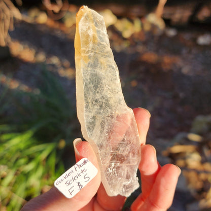 Golden Phantom Selenite