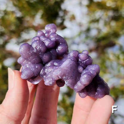 Grape Agate Specimens