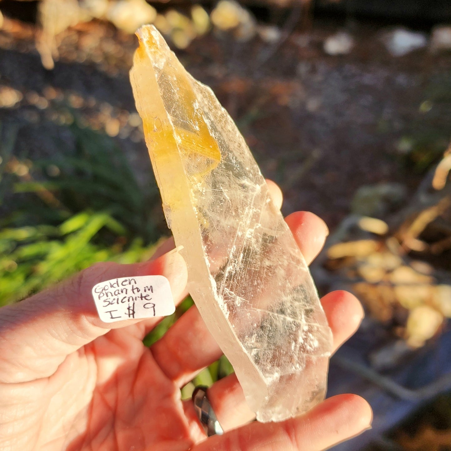 Golden Phantom Selenite