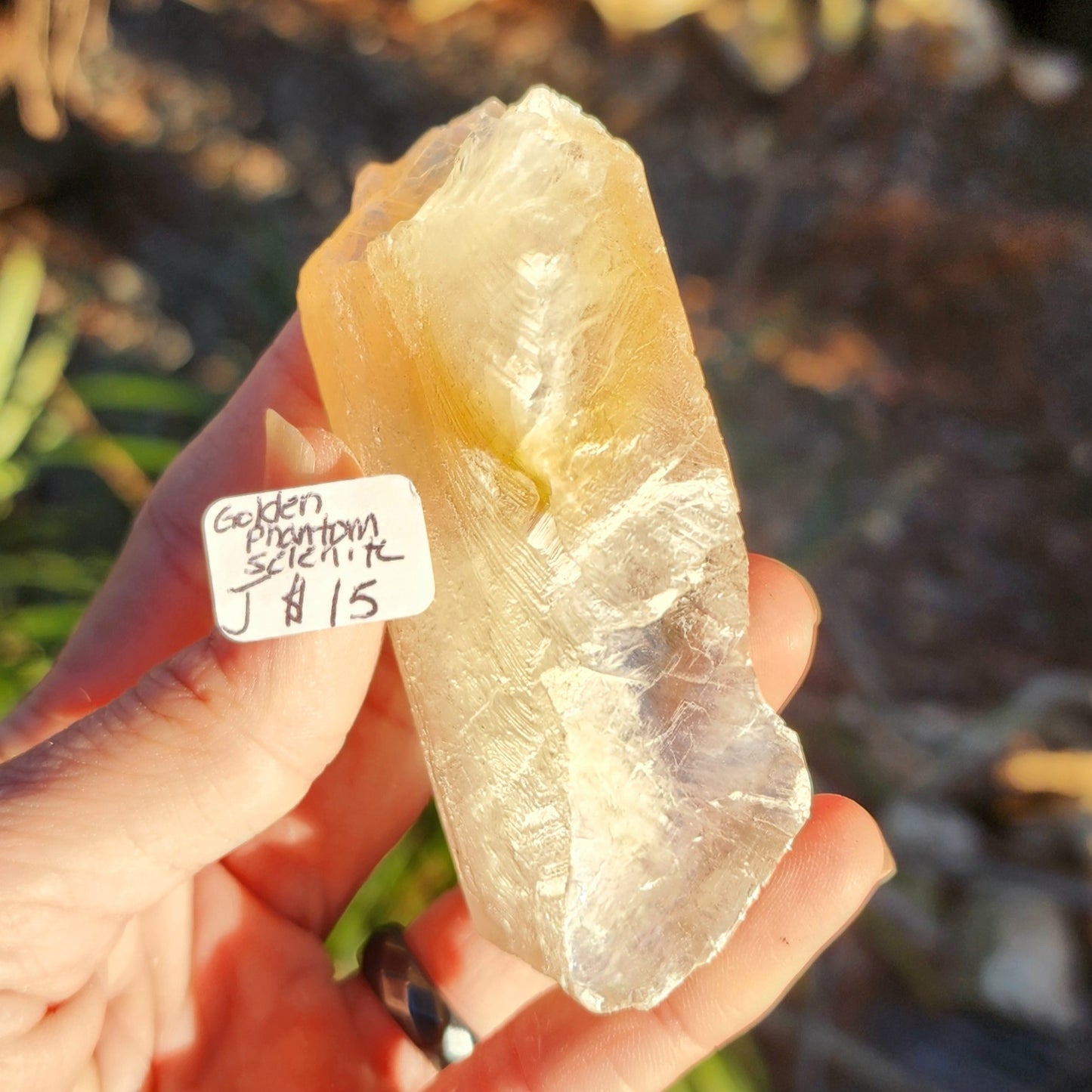 Golden Phantom Selenite