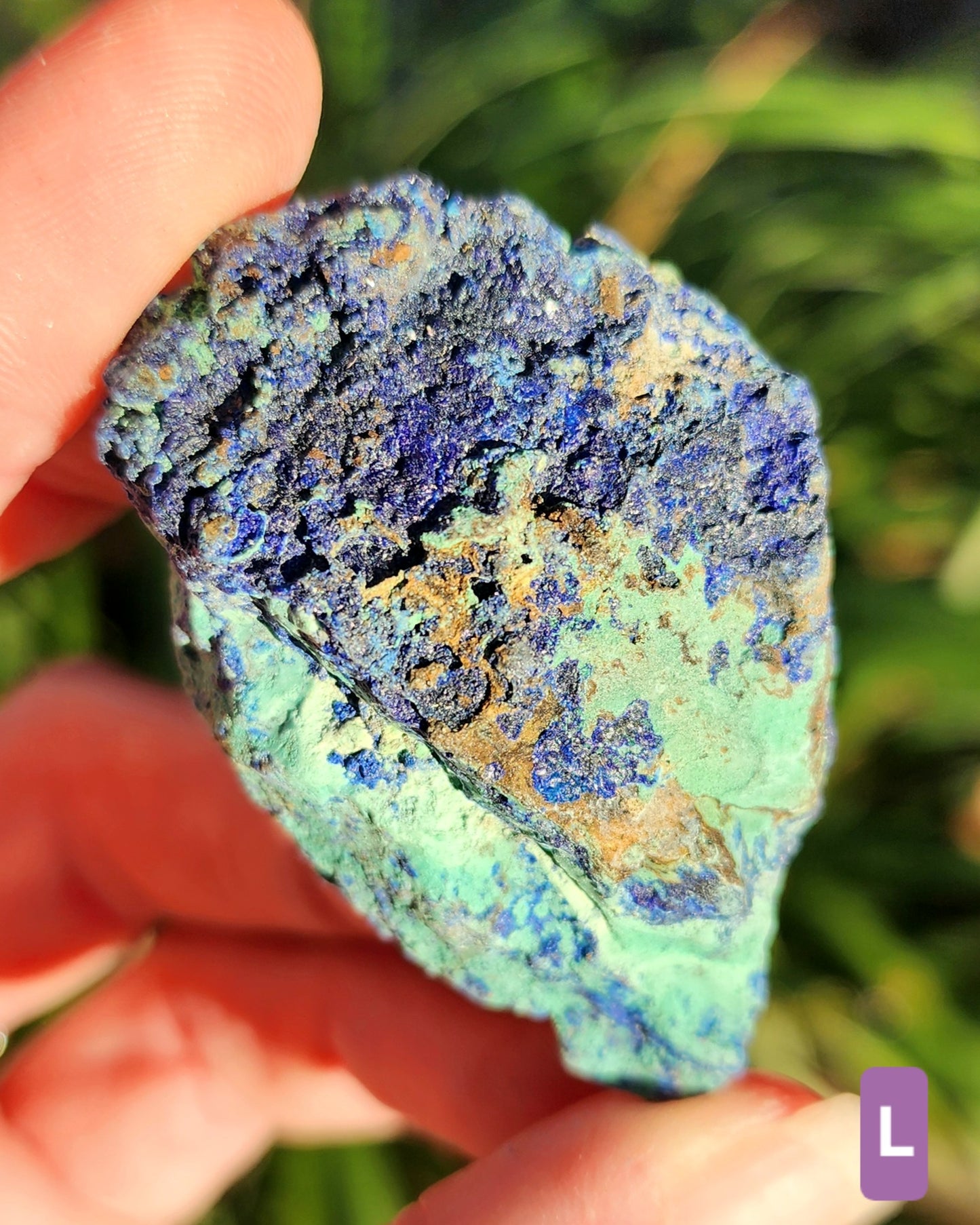 Azurite in Chrysocolla Specimens