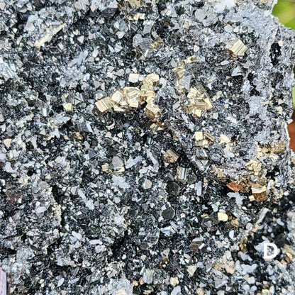 Pyrite w/ Black Magnetite and Calcite Larger Specimens