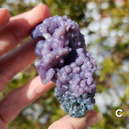 Grape Agate Specimens