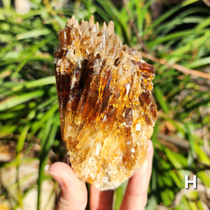 Amber Calcite Specimens (Root Beer Calcite)