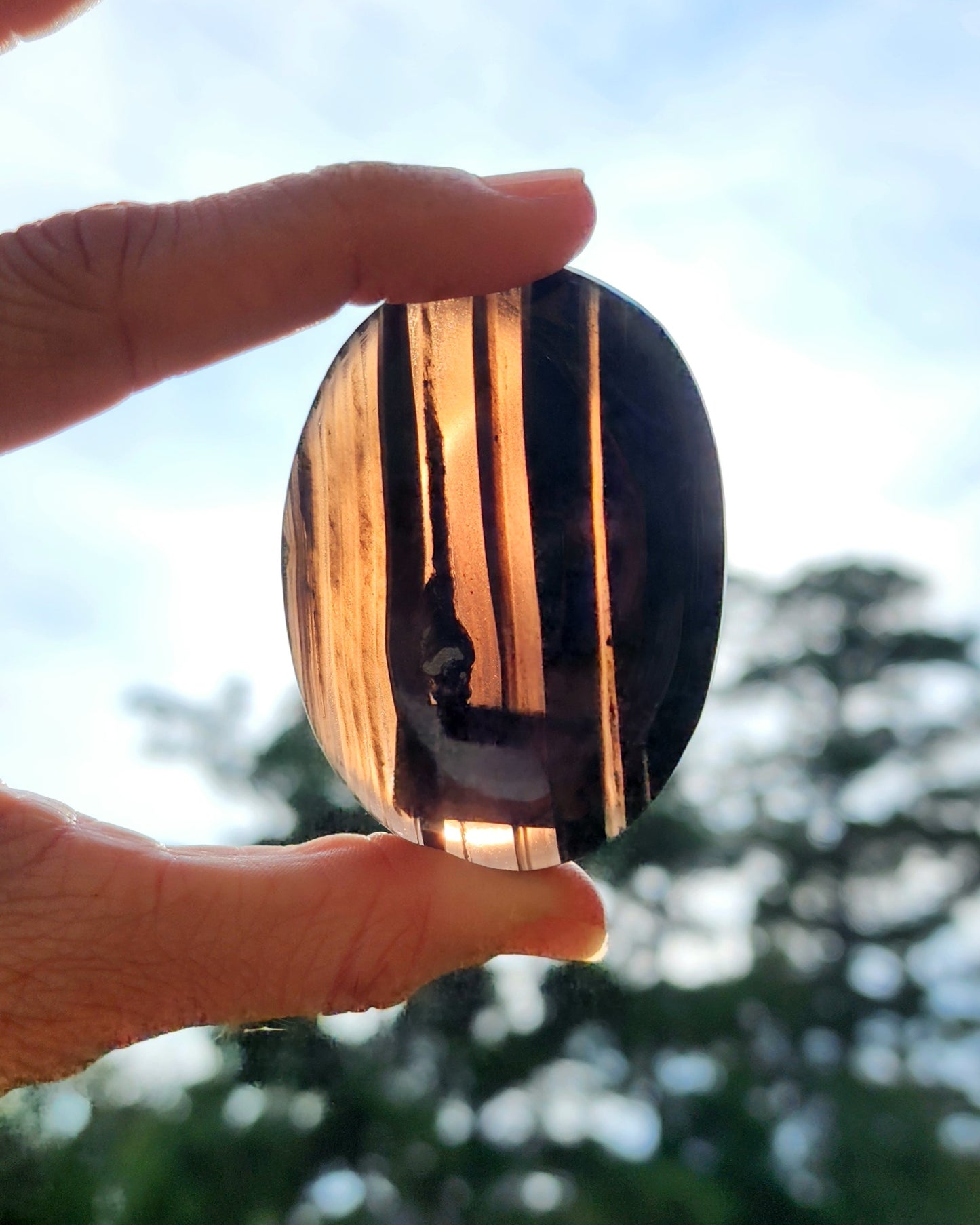 Midnight Lace Obsidian Palm Stone