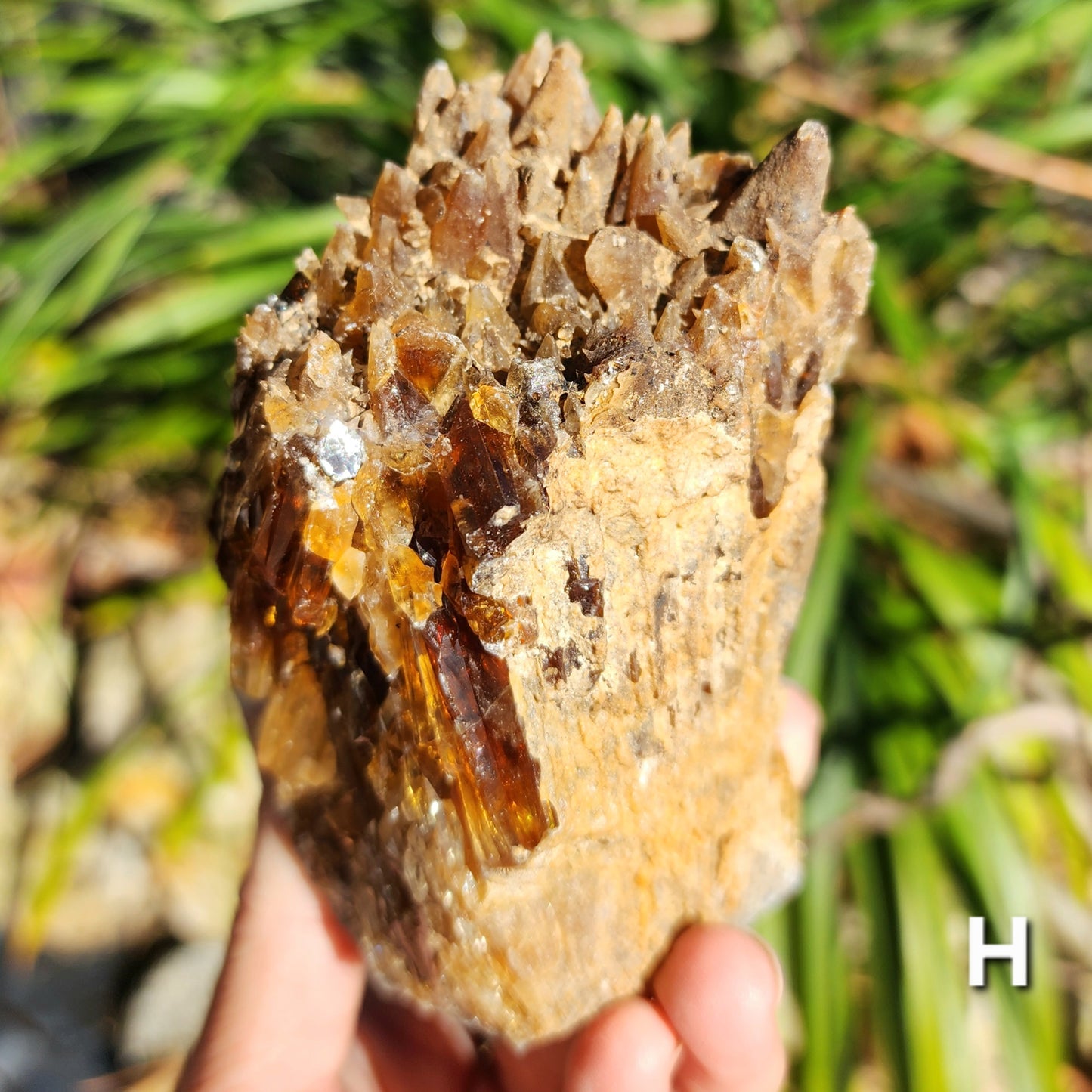 Amber Calcite Specimens (Root Beer Calcite)