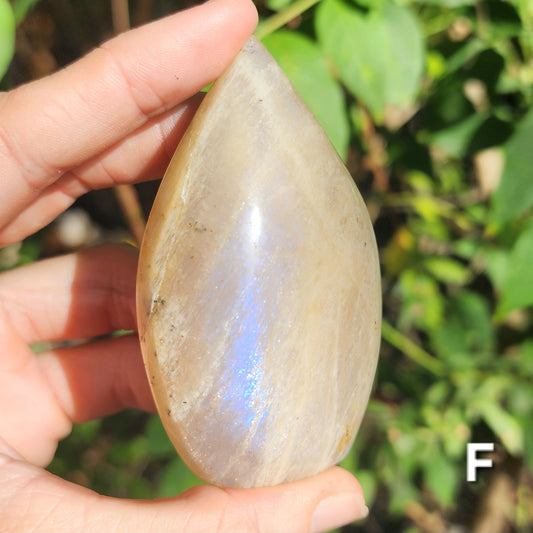 High Quality Rainbow Moonstone Freeform