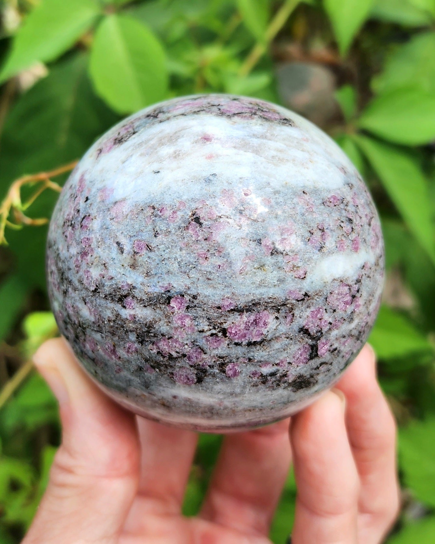 Garnet in Schist Sphere