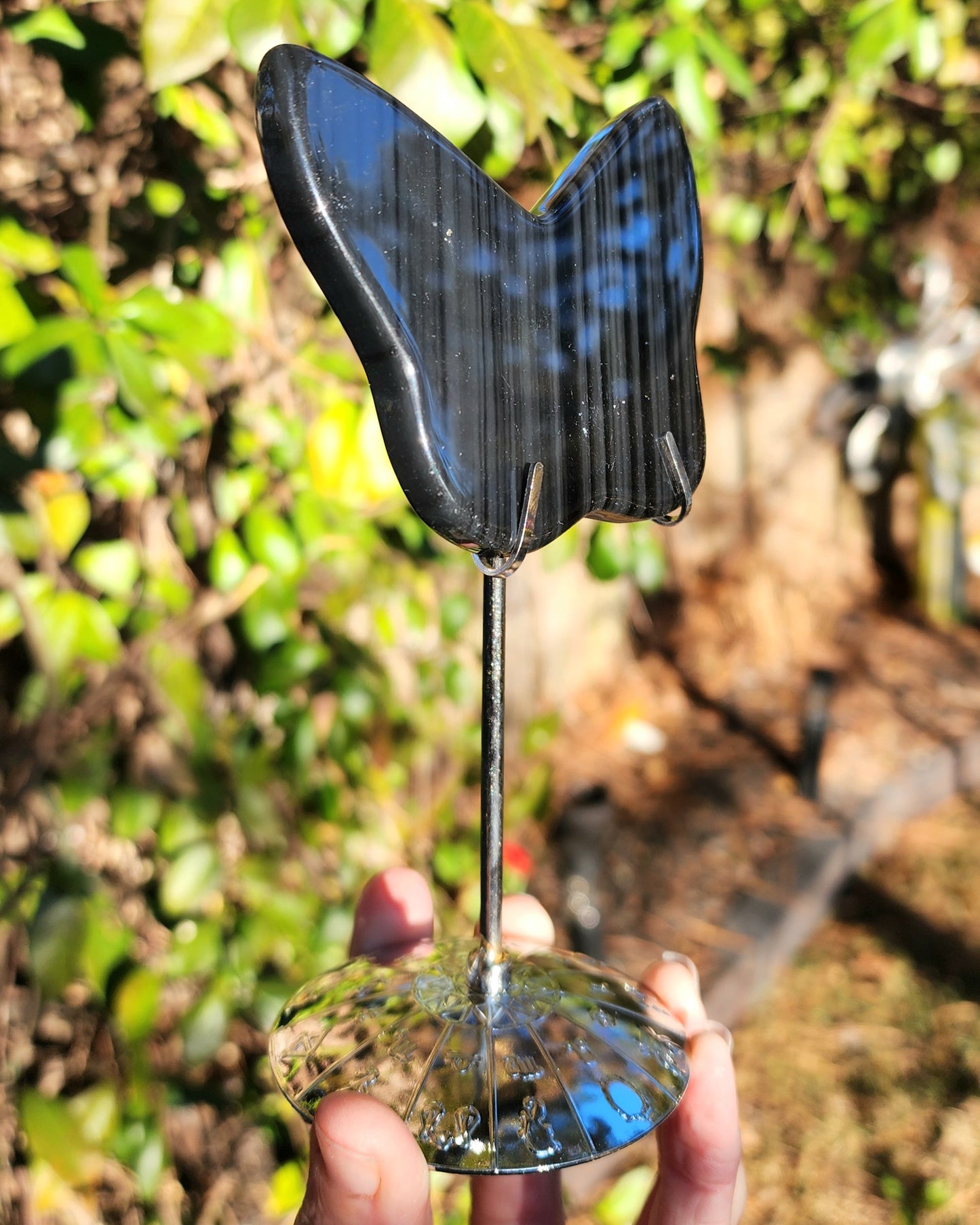 Midnight Lace Obsidian Butterfly on Stand