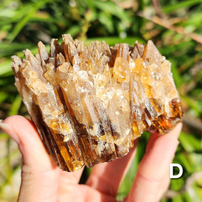 Amber Calcite Specimens (Root Beer Calcite)