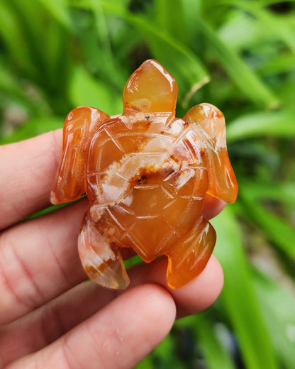 Carnelian Sea Turtle Carving