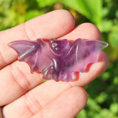 Purple Fluorite Bat