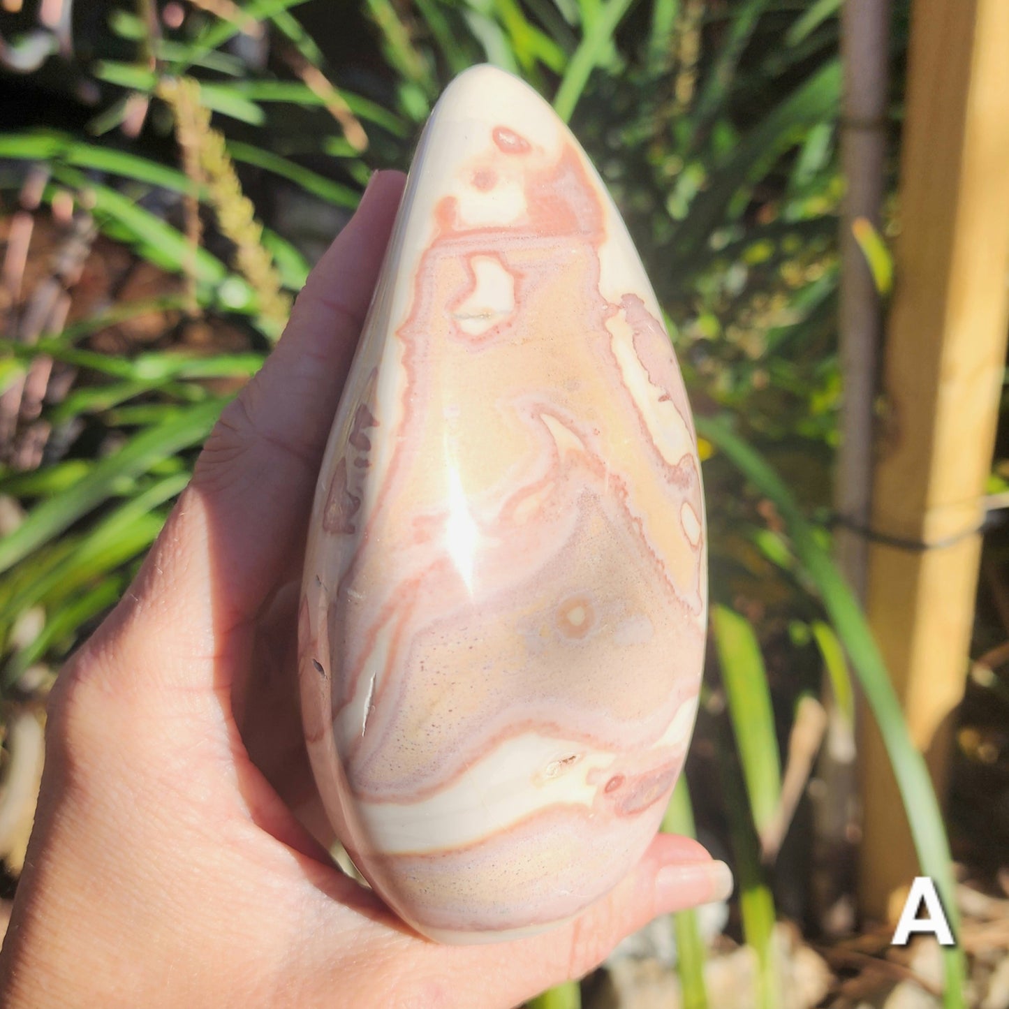 Polychrome Jasper Freeforms