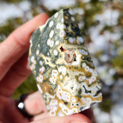 Ocean Jasper Angular Freeform