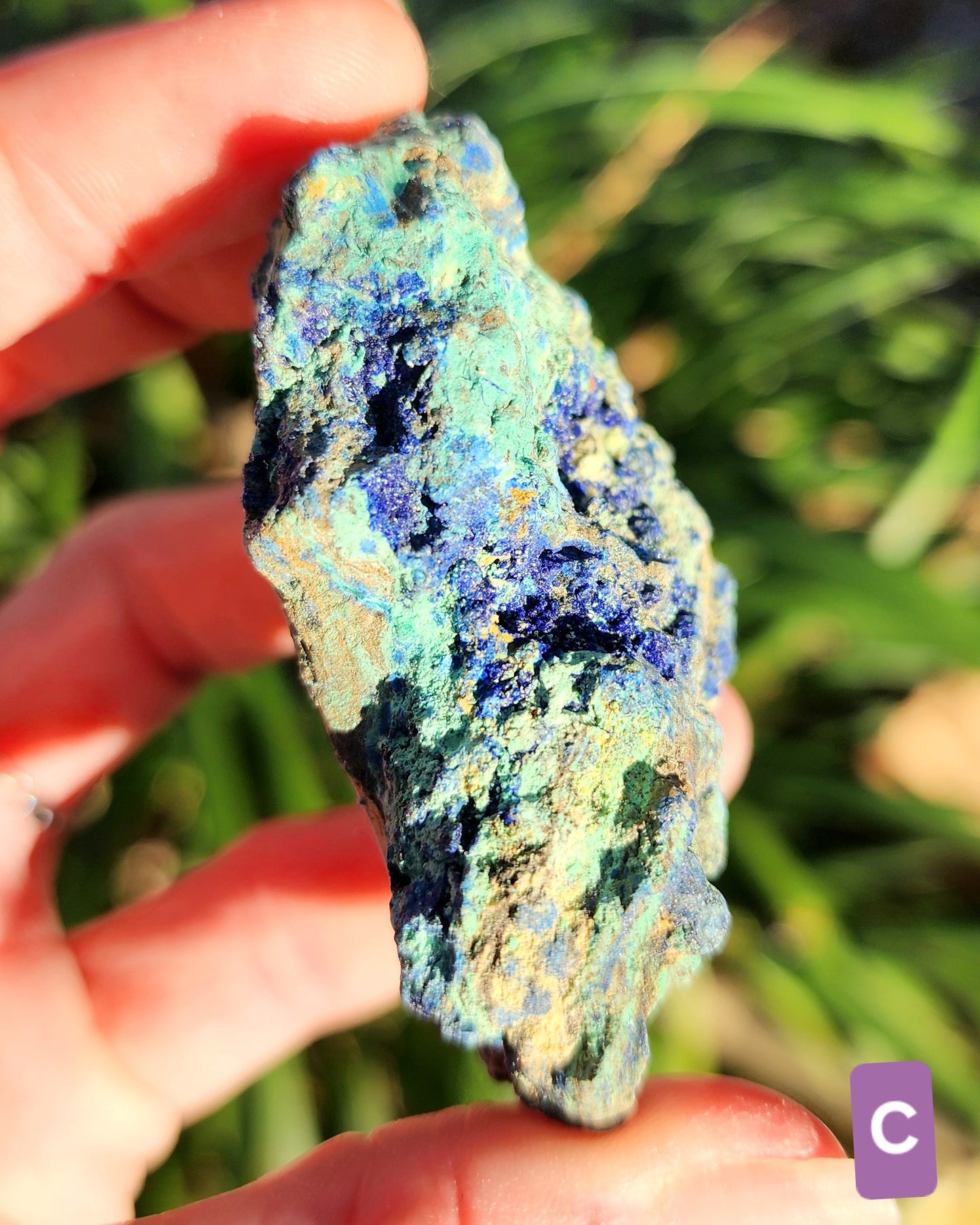 Azurite in Chrysocolla Specimens