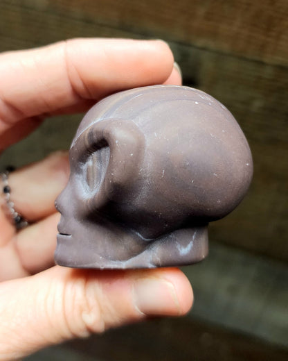 Alien Skull Carvings