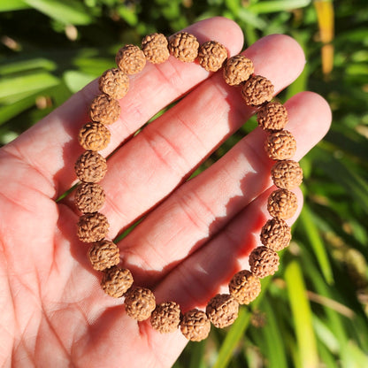 Rudraksha Seed Stretchy Bracelet