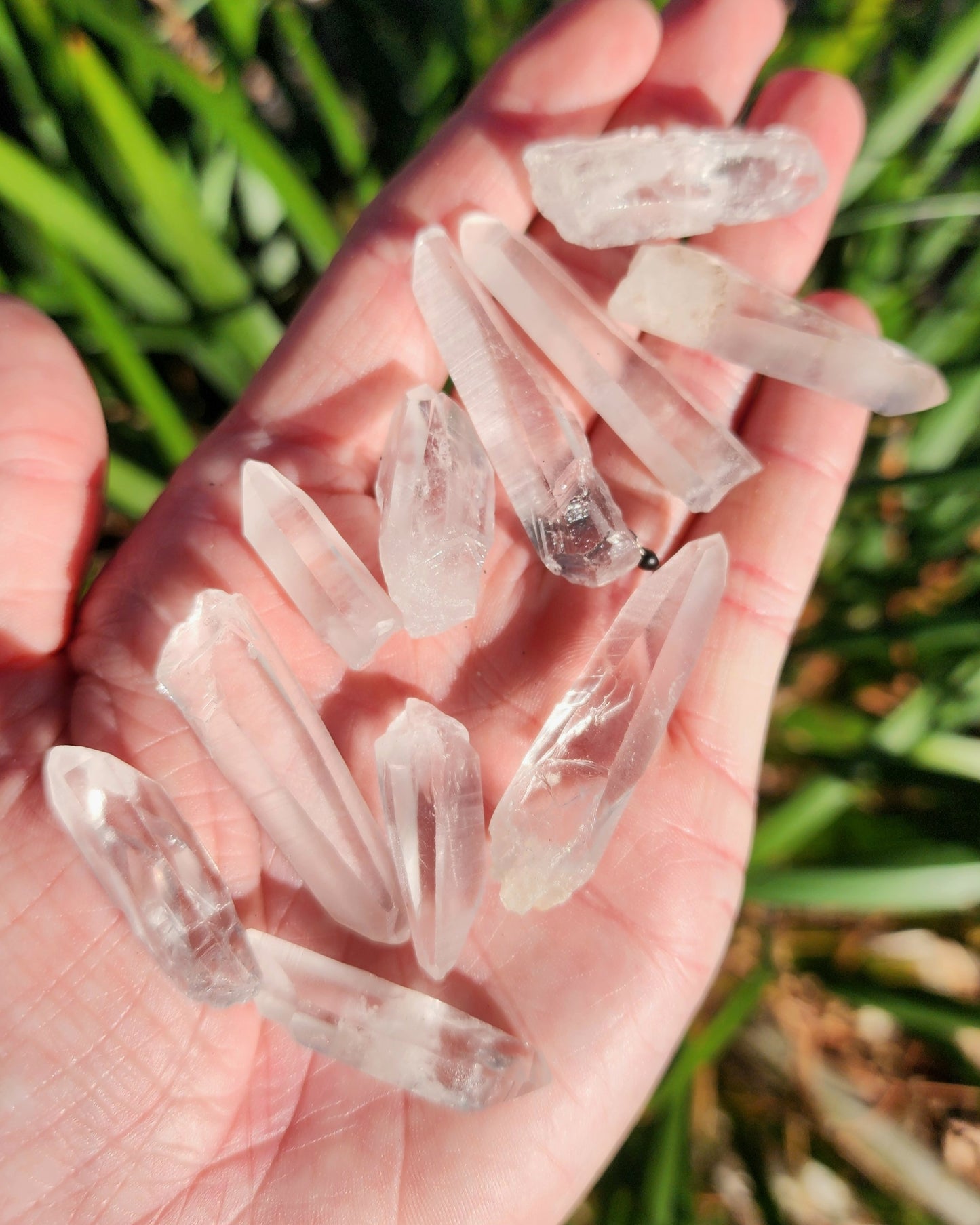 Lemurian Quartz Point