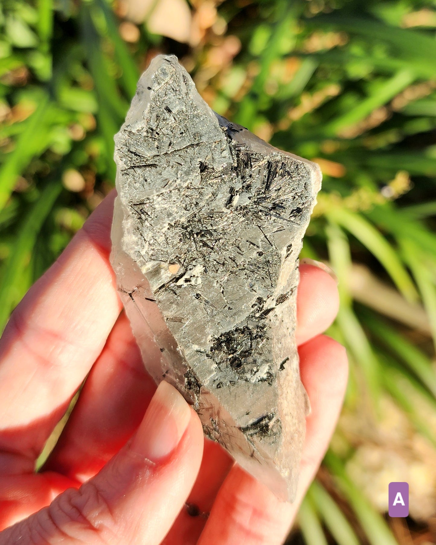 Raw Black Tourmaline in Quartz aka Tourmalinated Quartz