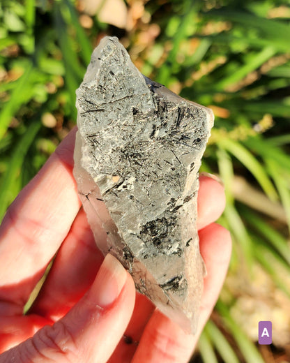 Raw Black Tourmaline in Quartz aka Tourmalinated Quartz