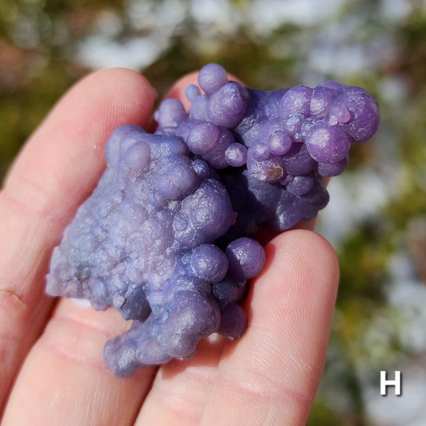 Grape Agate Specimens