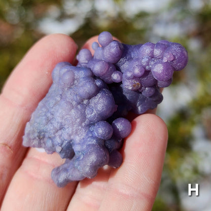 Grape Agate Specimens