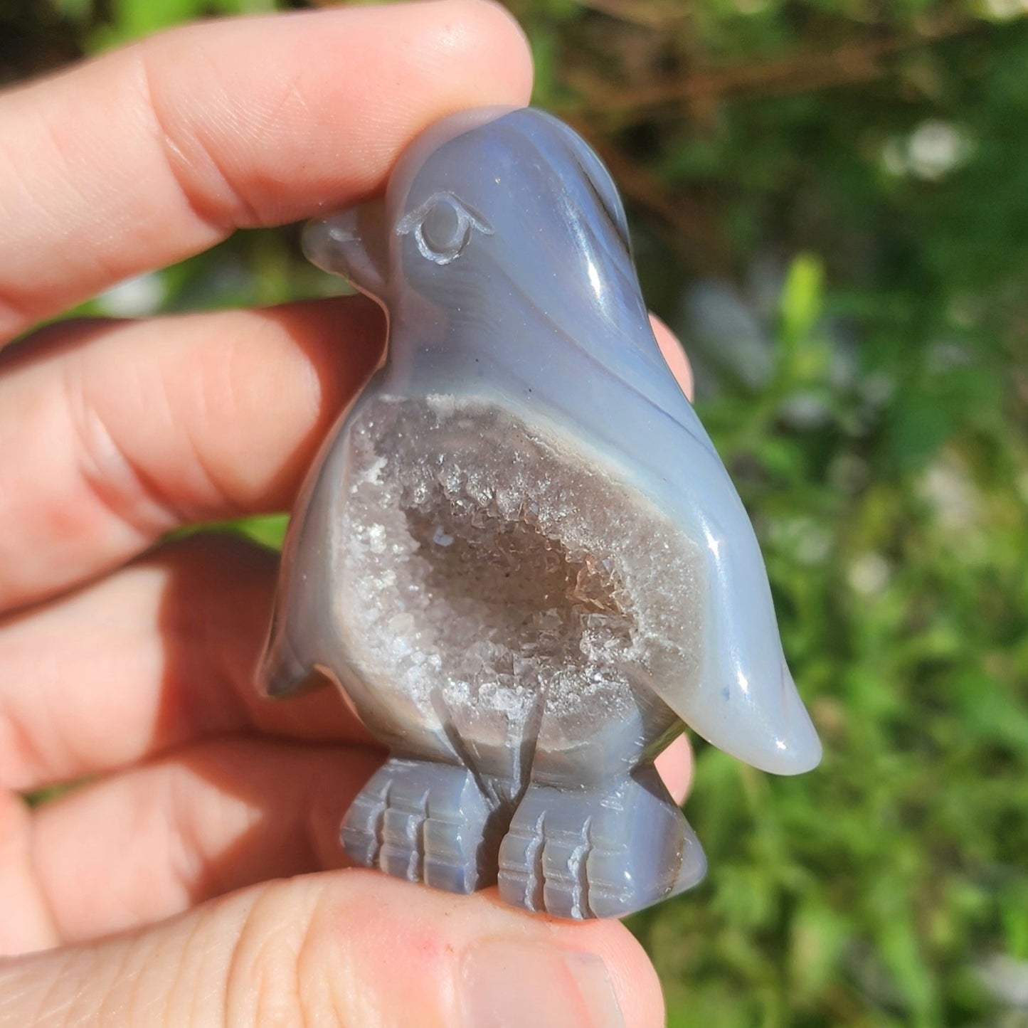 Druzy Agate Penguin