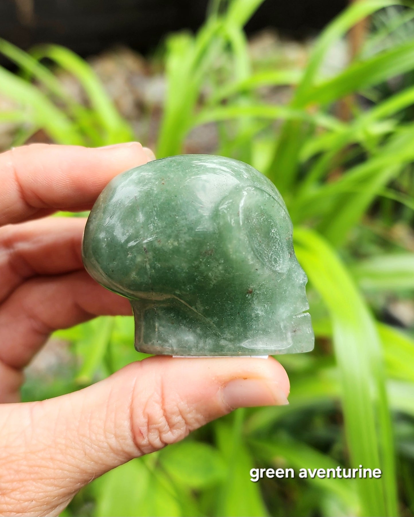 Alien Skull Carvings