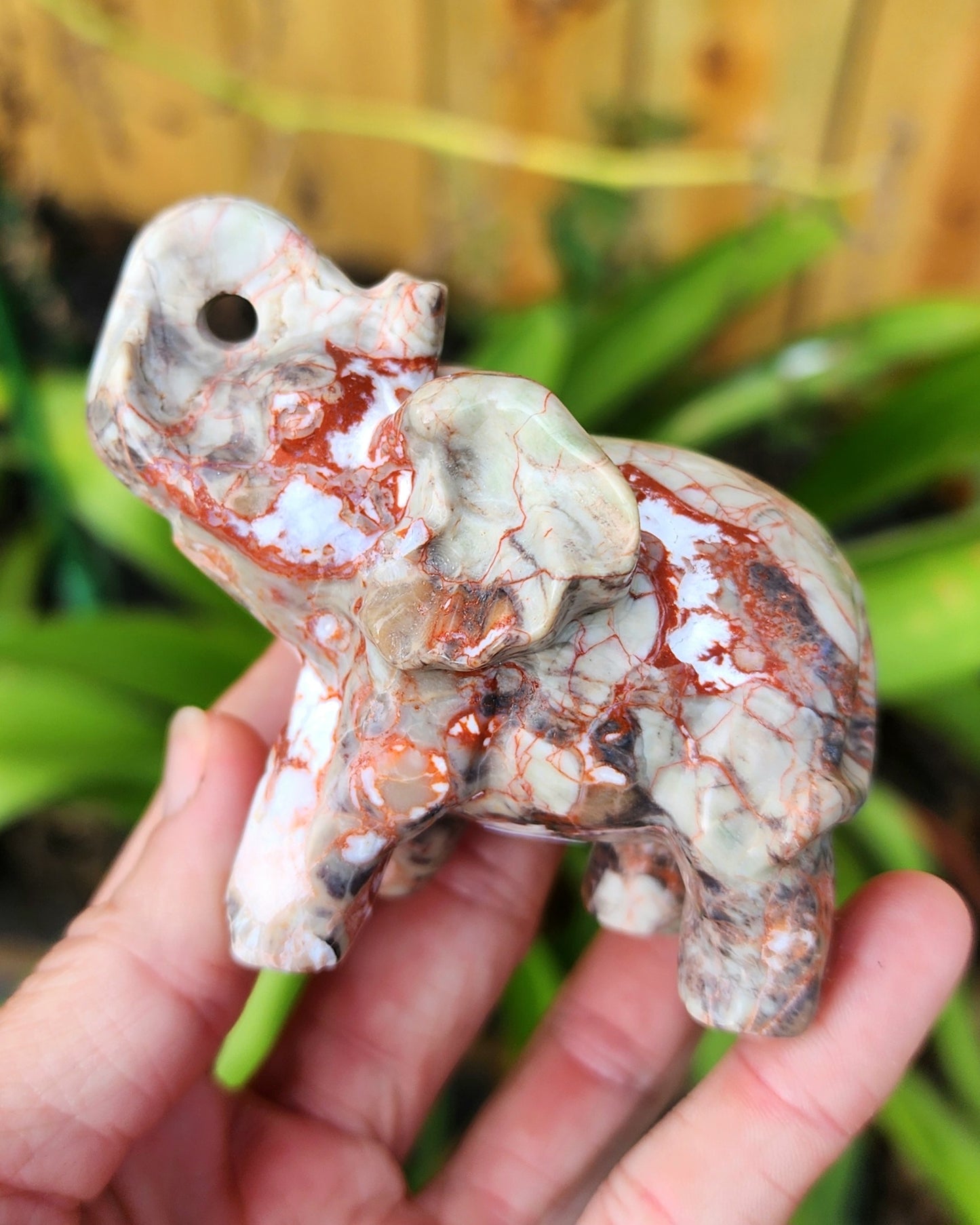 Money Agate Elephant