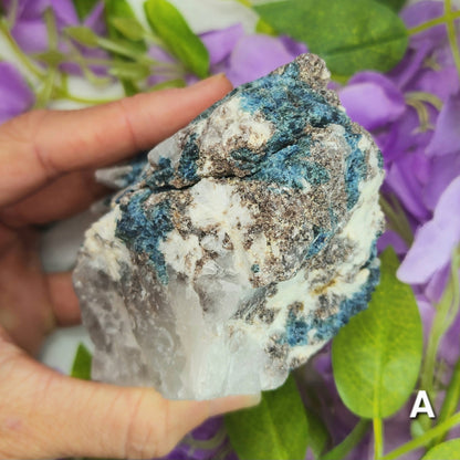 Rare Blue Tourmaline (Indicolite) and Lepidolite in Quartz Specimens