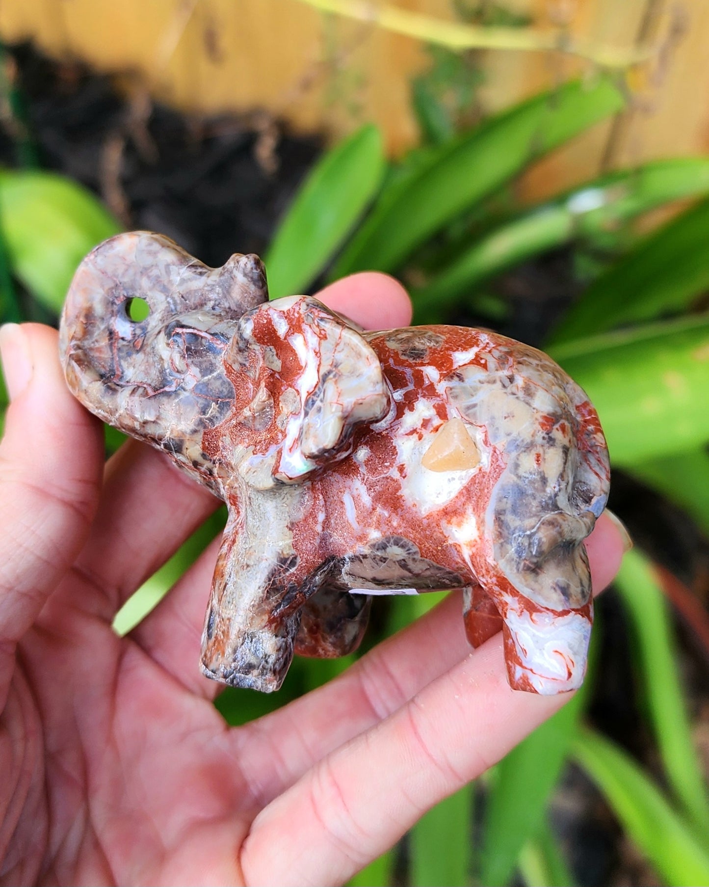 Money Agate Elephant