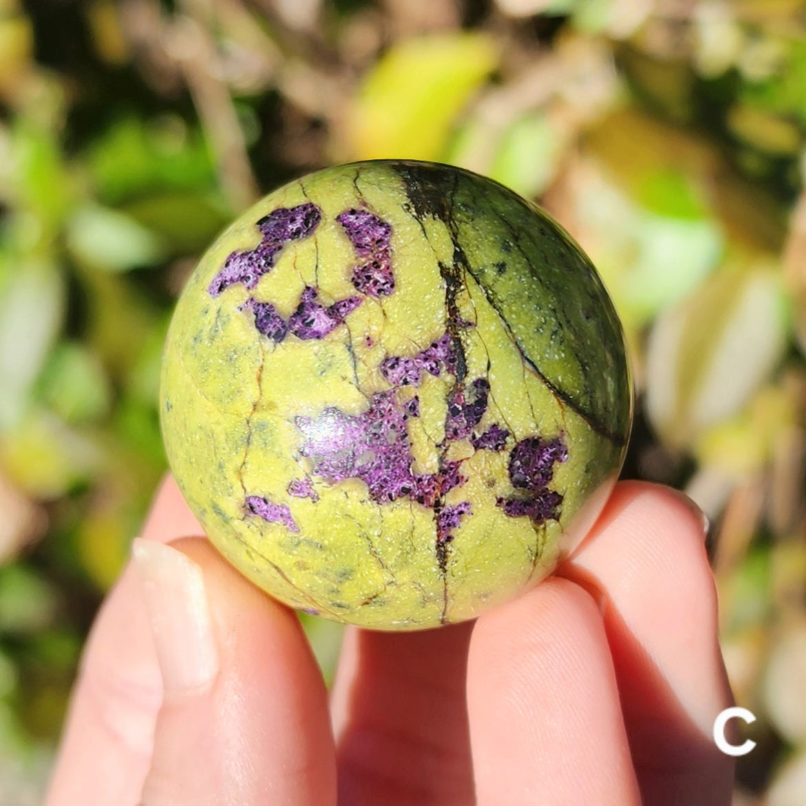 Atlantisite Sphere (Stichite in Serpentine)