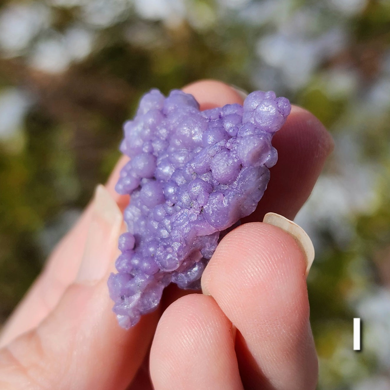 Grape Agate Specimens