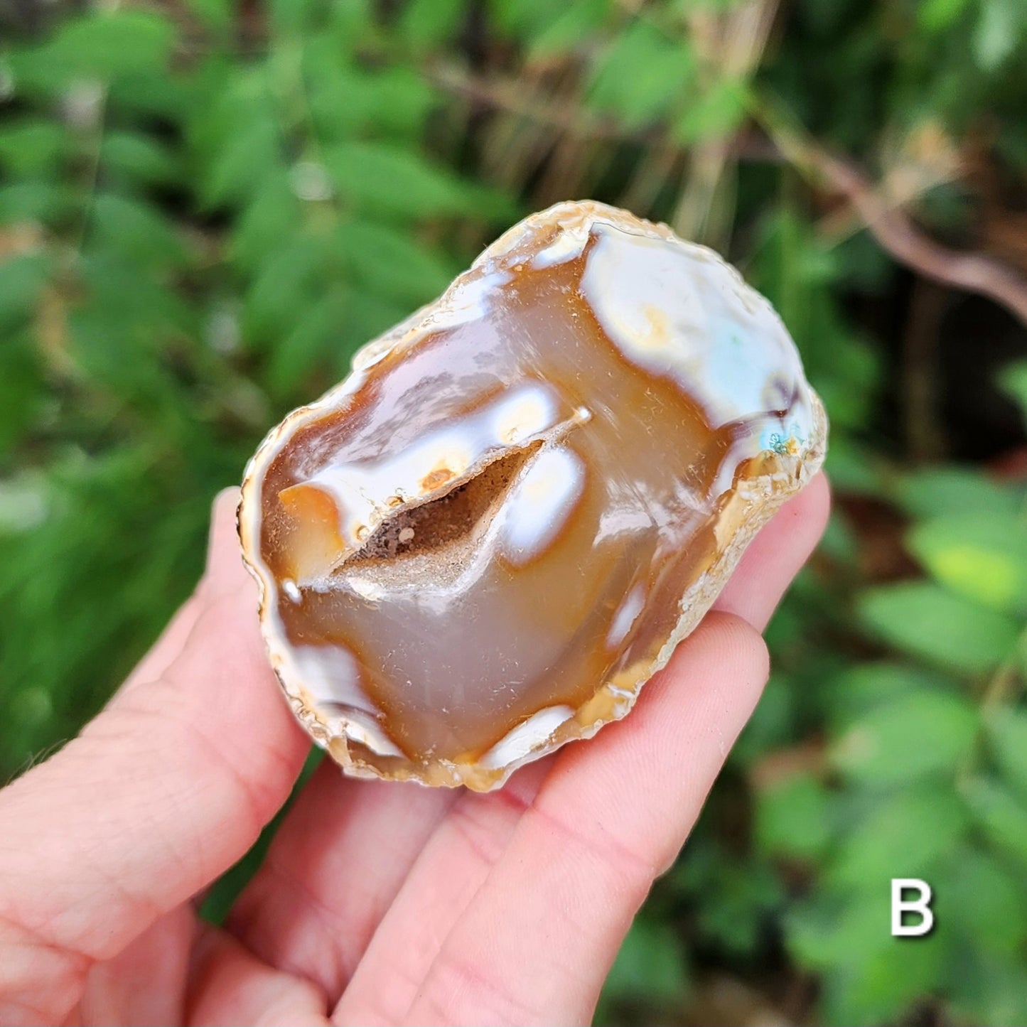 Raw Carnelian Agate (some Carnelian Orca Agate)