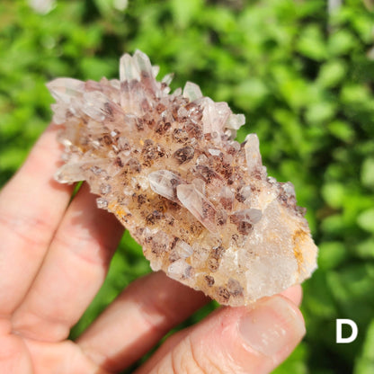 Red Phantom Quartz Clusters