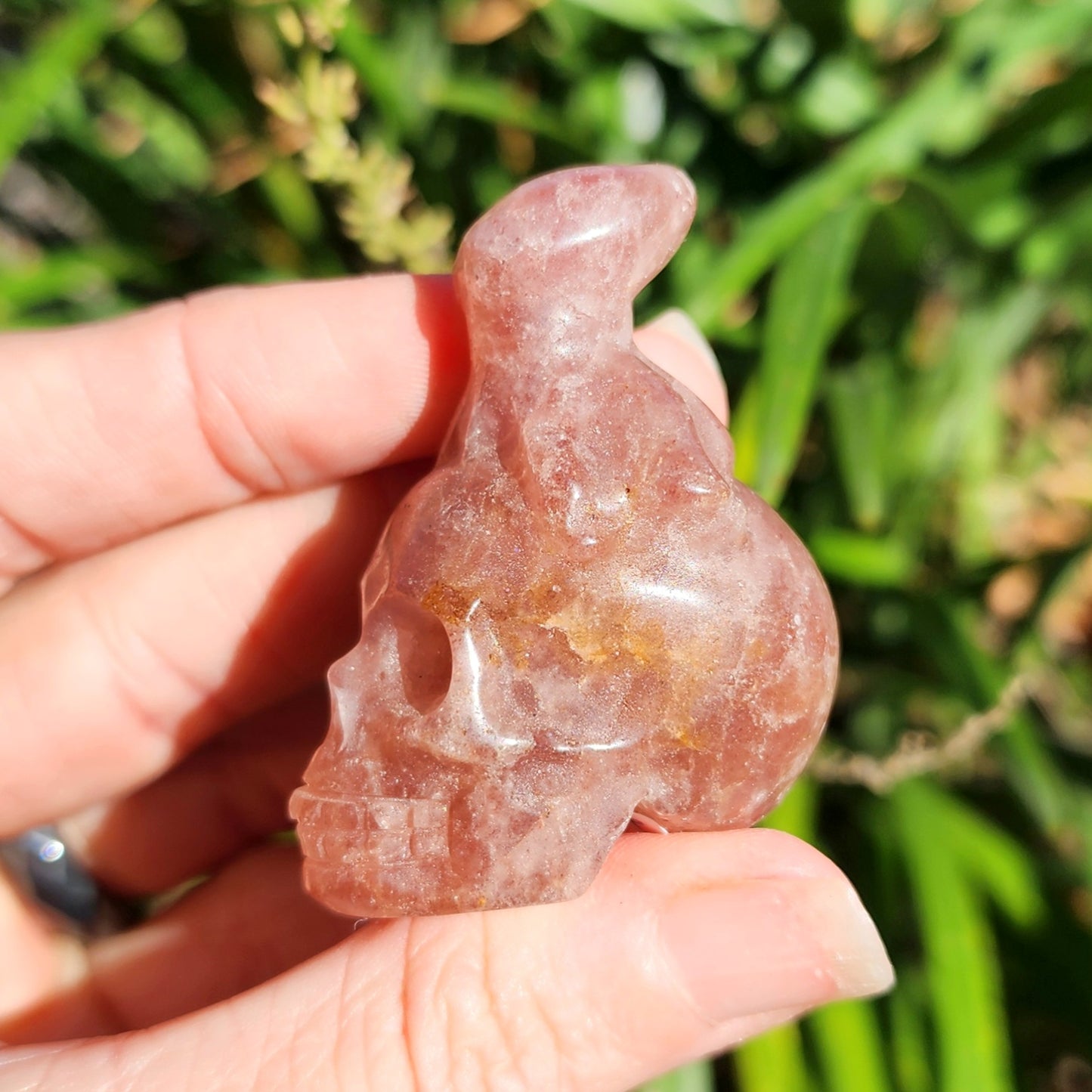 Red Aventurine Octopus on Skull Carvings