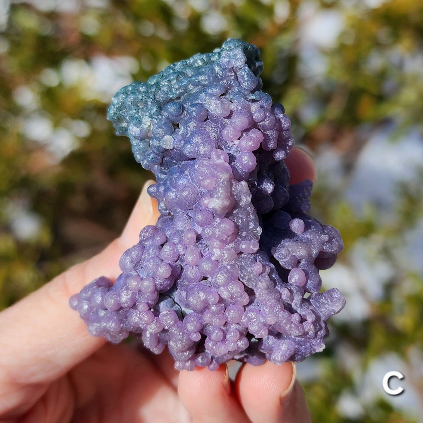 Grape Agate Specimens