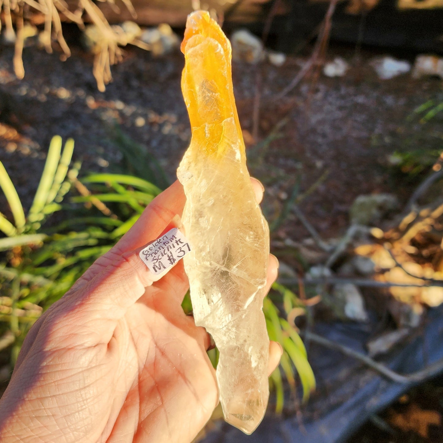 Golden Phantom Selenite