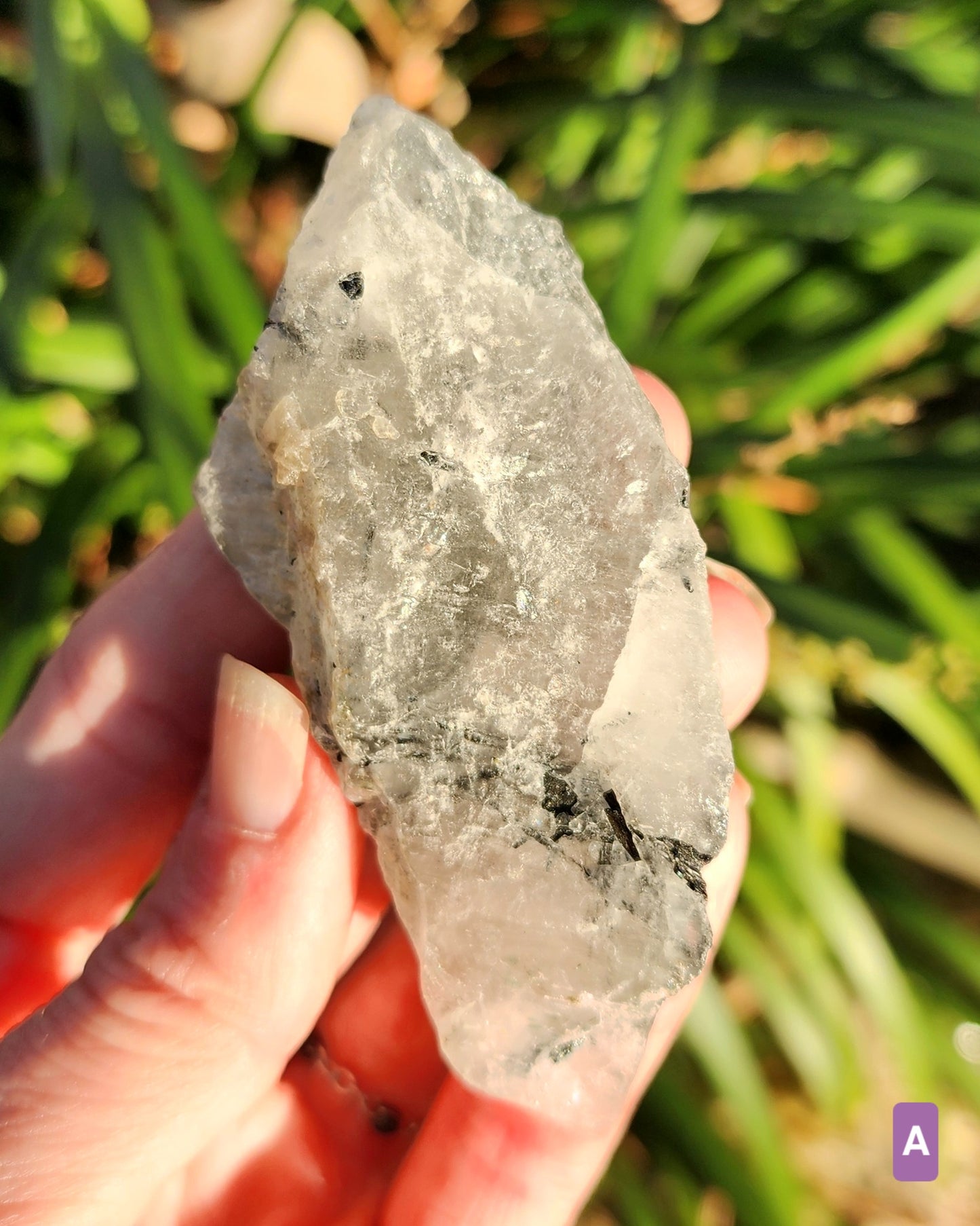 Raw Black Tourmaline in Quartz aka Tourmalinated Quartz