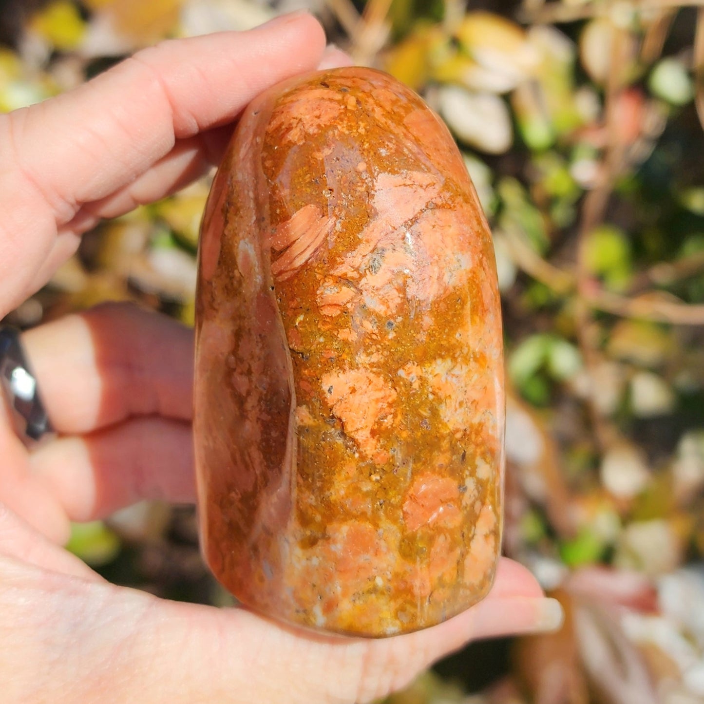 Mookaite Jasper Freeform