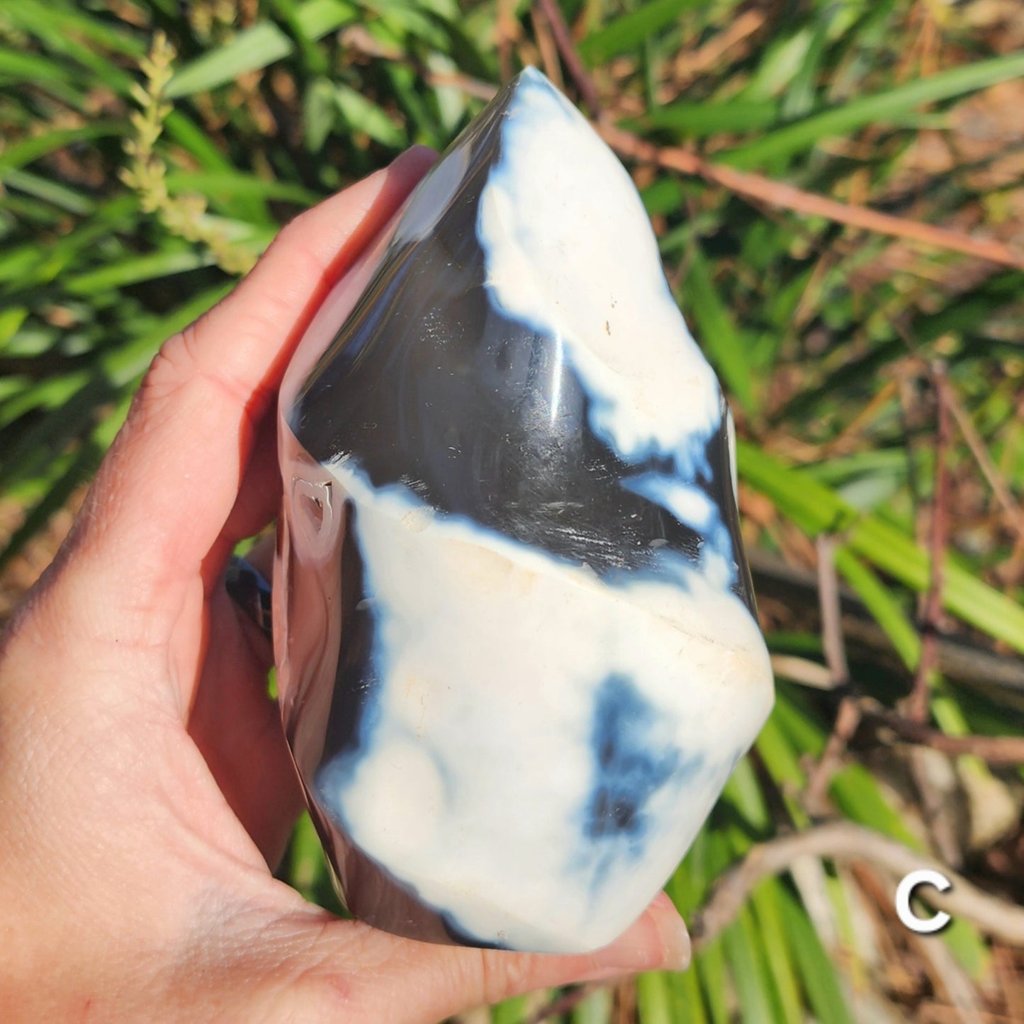 Orca Agate Flames